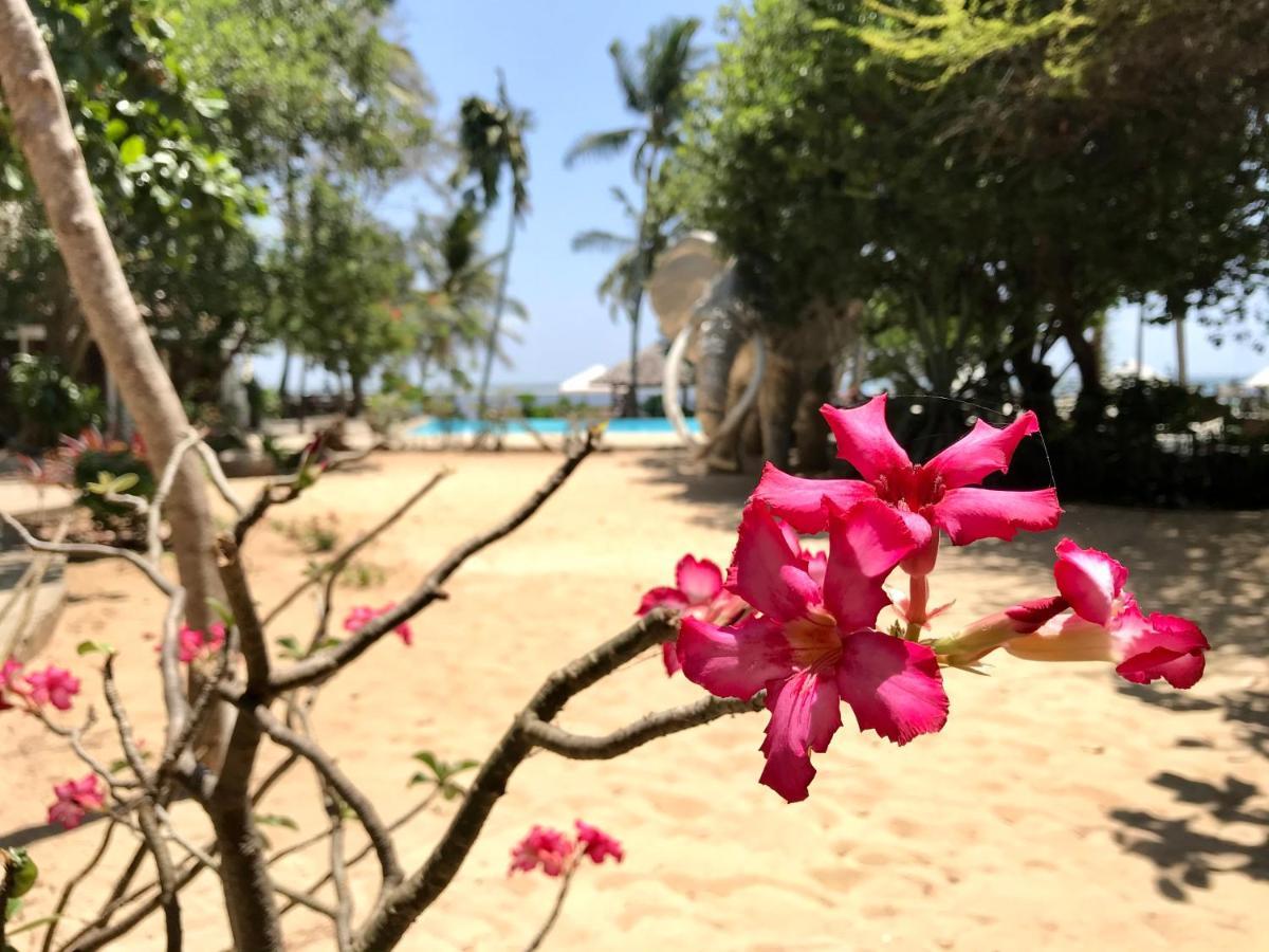 White Elephant Sea Lodge Малинди Экстерьер фото
