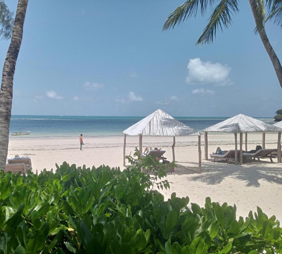 White Elephant Sea Lodge Малинди Экстерьер фото